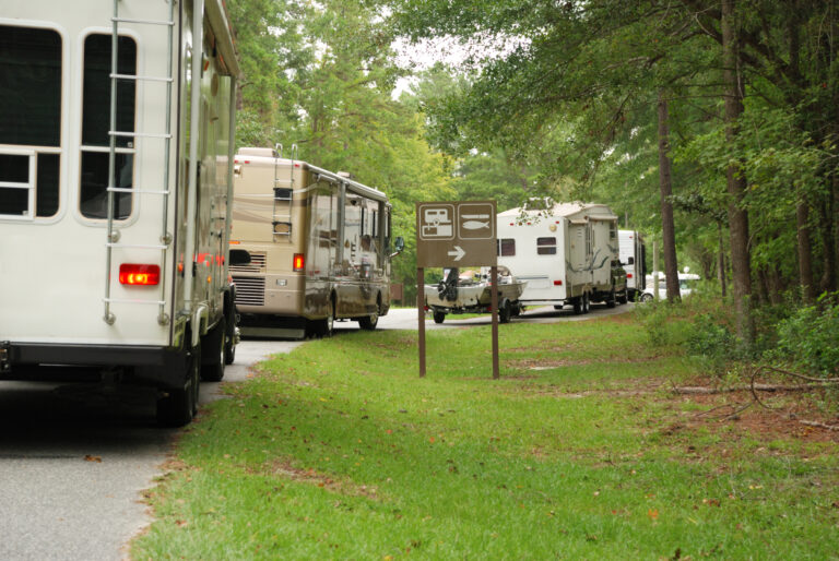 Read more about the article RV Camping with Furry Friends